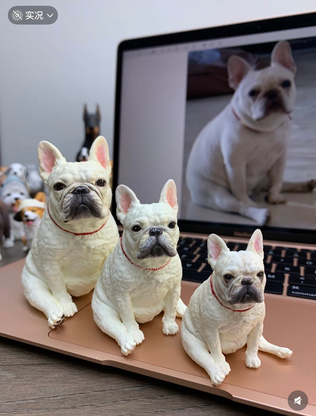 What Photos Do You Need for a Custom Pet Figurine?