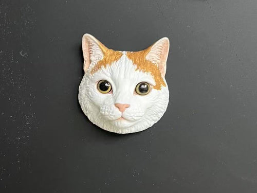 Custom orange and white cat 3D relief magnet handmade from a pet photo